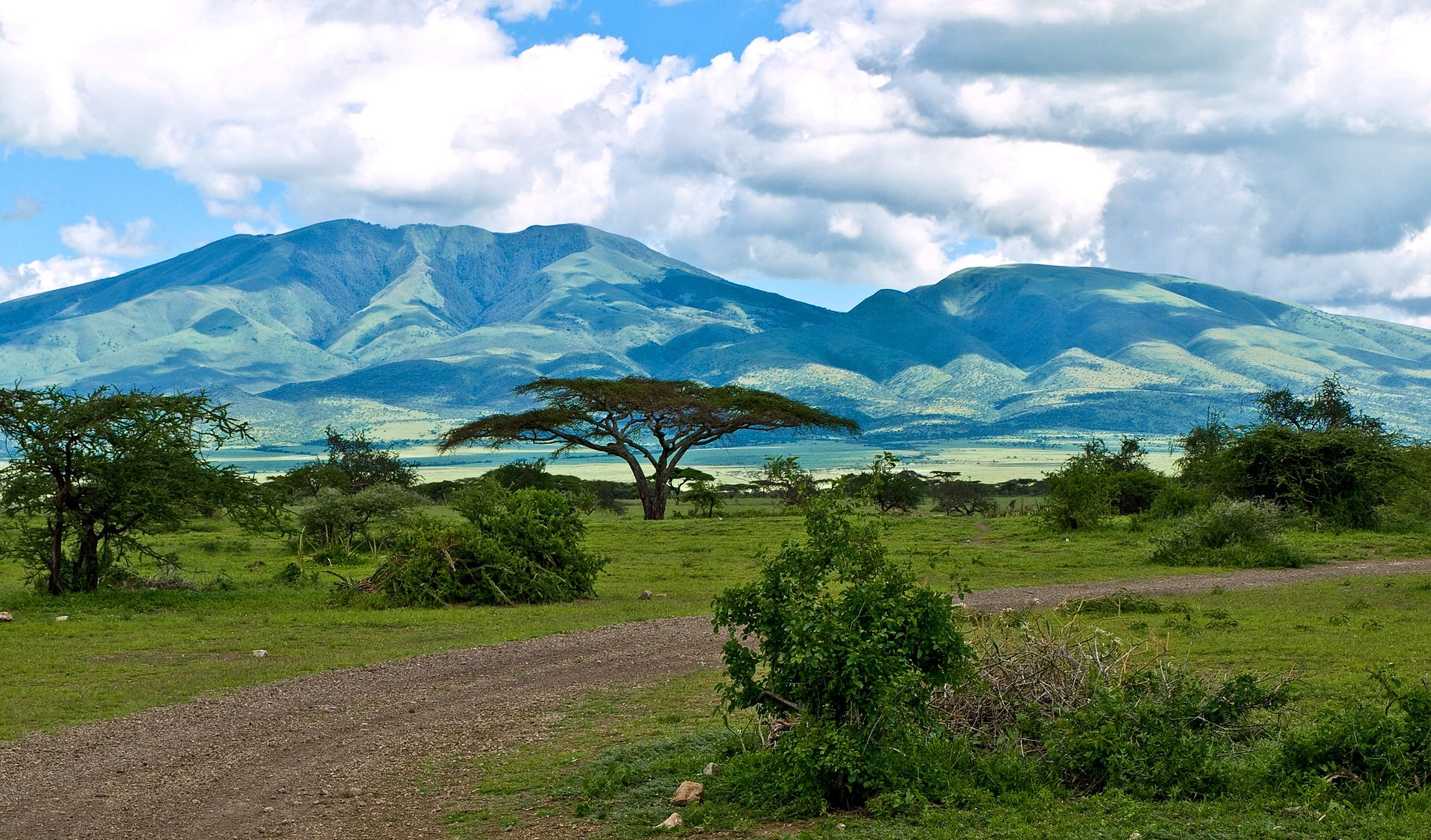 Berge in der Serengeti (c) William Warby CC BY SA 2.0